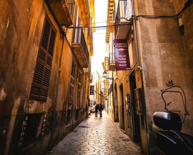 Palma: History & Beauty Eco-Friendly E-Scooter Tour - Exploring Palma De Mallorca