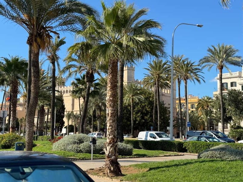 Palma in person and away from the crowds - Who Will Love This Tour?