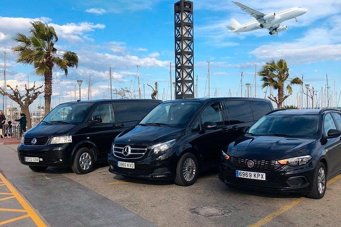 Palma Nova to Mallorca Airport (PMI) - Departure Private Van Transfer - Transfer Options