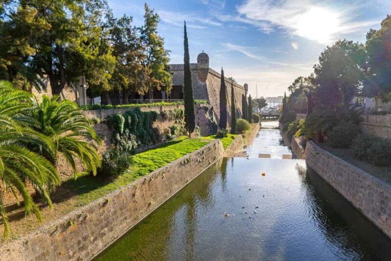 Palma: Old Town Guided Tour with Cathedral Skip-the-Line - Good To Know