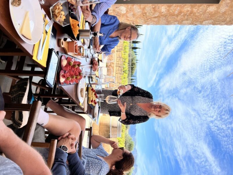 Palma: Orange Farm, Olive Mill, & Winery Tour with Tastings - Good To Know