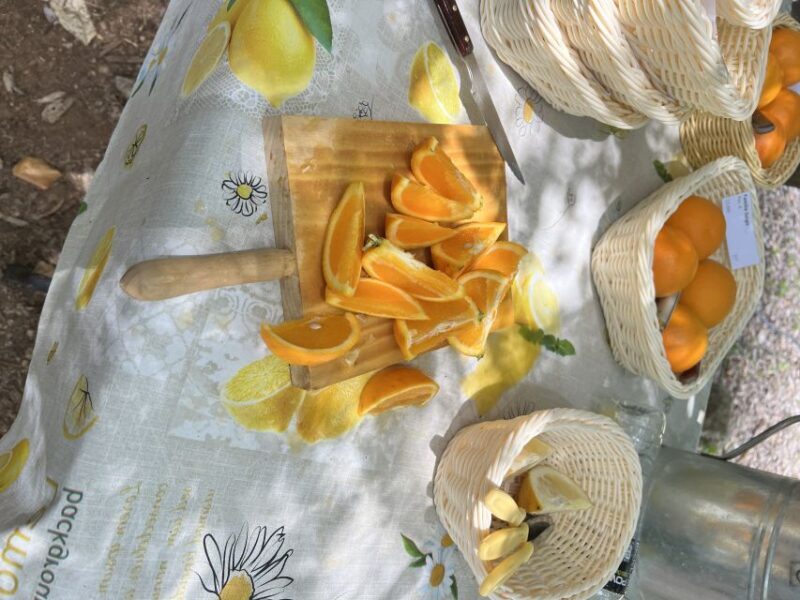 Palma: Orange Farm, Olive Mill, & Winery Tour with Tastings - FAQ