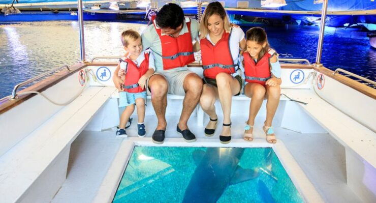 Palma: Palma Aquarium Ticket With Transfer Service - Ticket Pricing and Inclusions