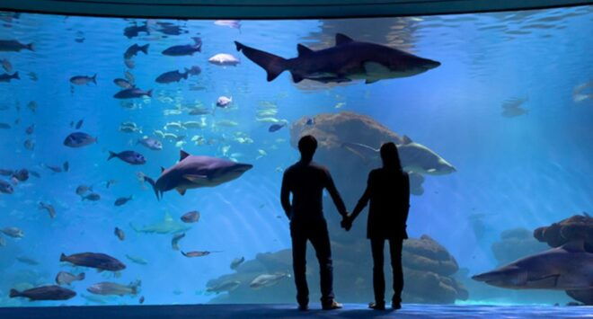 Palma: Palma Aquarium Ticket With Transfer Service - Customer Reviews and Ratings