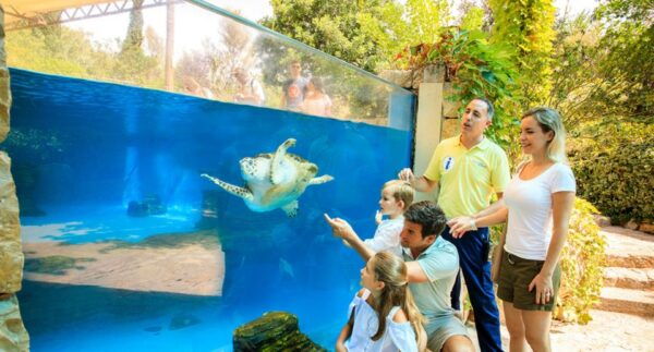 Palma: Palma Aquarium Ticket With Transfer Service - Mediterranean, Tropical, and Jungle Habitats