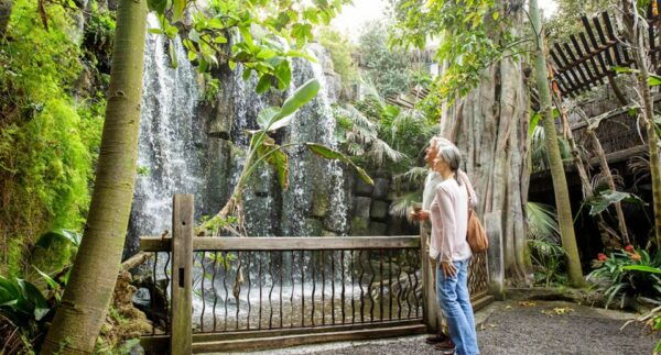 Palma: Palma Aquarium Ticket With Transfer Service - The Sum Up