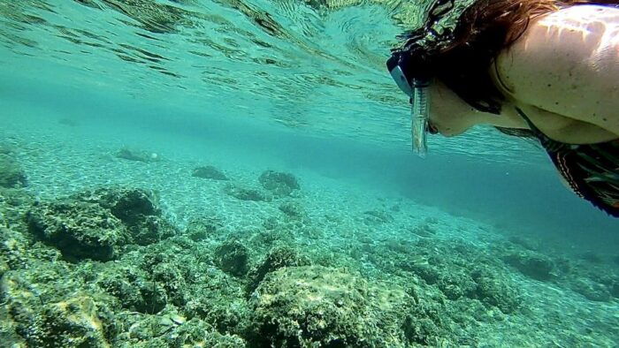 Palma: Private Boat Trip in Mallorca With Snorkeling - Common Questions