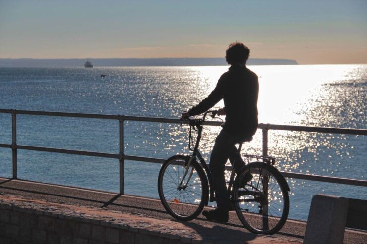 Palma Shore Excursion Bike Tour (Transfer Included) - Good To Know