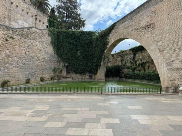 Palma Shore Excursion Bike Tour (Transfer Included) - Directions