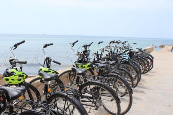 Palma Shore Excursion Bike Tour (Transfer Included) - Frequently Asked Questions