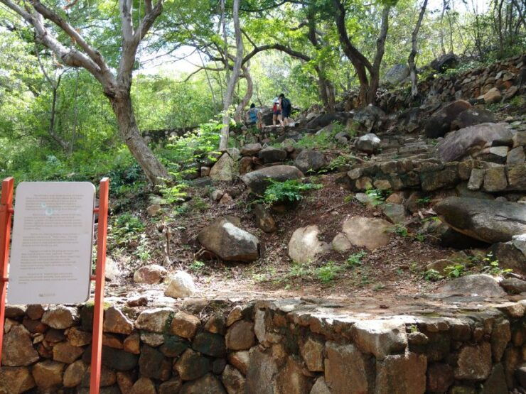 .Palma Sola Archaeological Zone and Market Visit With Lunch - Archaeological Site Overview
