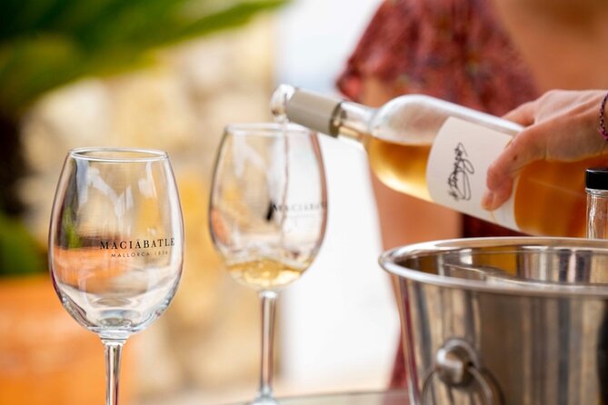 Palma Tapas Tour- The Original! - Questions and Support