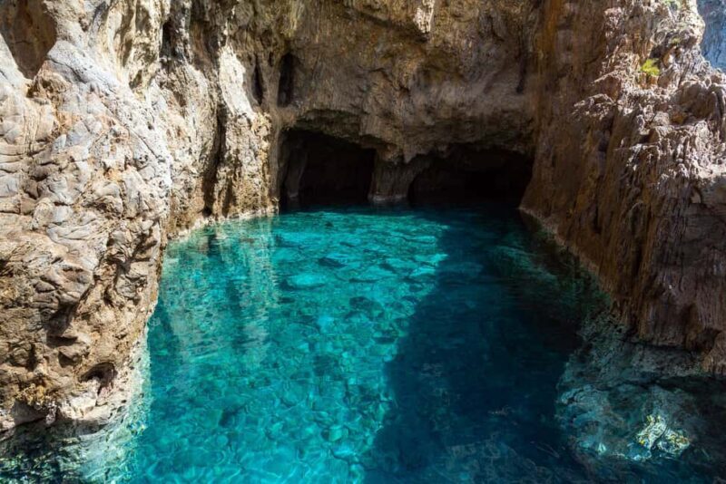 Palmarola: Linea isola di Palmarola - FAQ