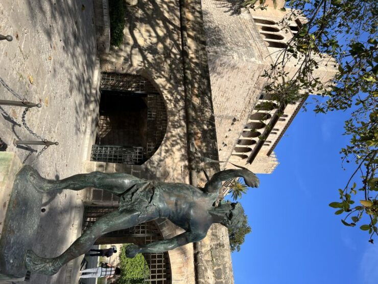 Palmas Sightseeing Highlights in 90 Minutes - Activity Details