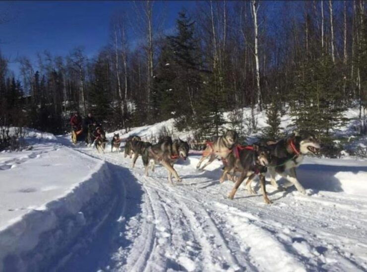 Palmer: "Dogs and Glaciers" Sledding and Helicopter Tour - Free Cancellation and Refund Policy