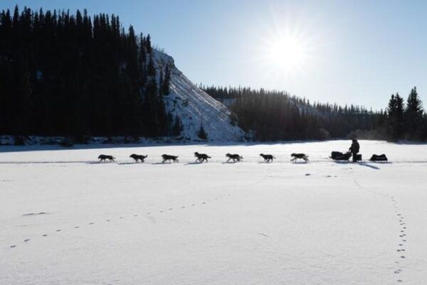 Palmer: "Dogs and Glaciers" Sledding and Helicopter Tour - Common Questions