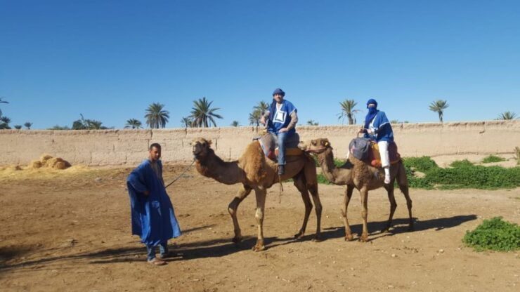 Palmeraie Quad Bike & Camel Ride - Booking Details
