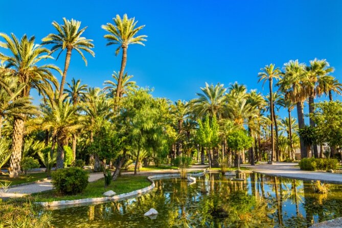 Palmeral Park Tour - Pricing Details
