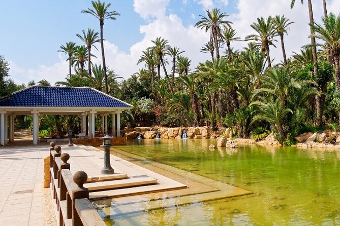 Palmeral Park Tour - Terms and Conditions