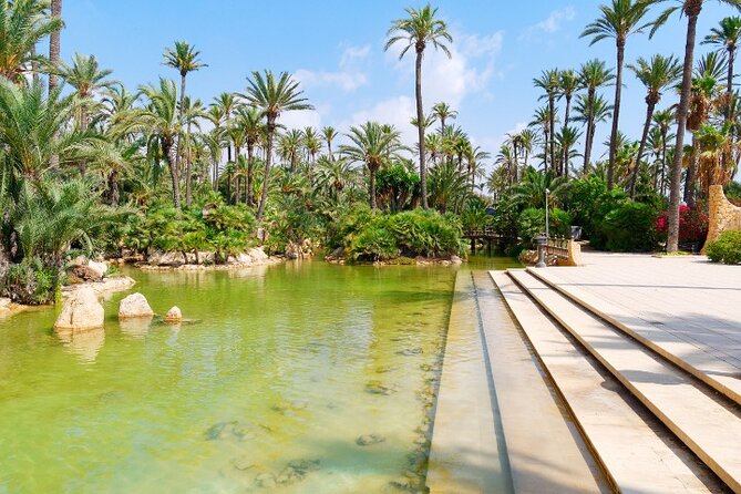 Palmeral Park Tour - Directions to Palmeral Park