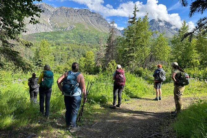 Palmer's Hidden Waterfalls: Full Day Hike - FAQ