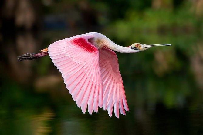 Palo Verde Boat Tour - Meeting and Pickup Information