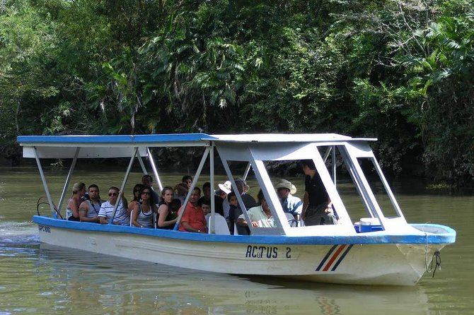 Palo Verde National Park Boat Tour - Tour Highlights