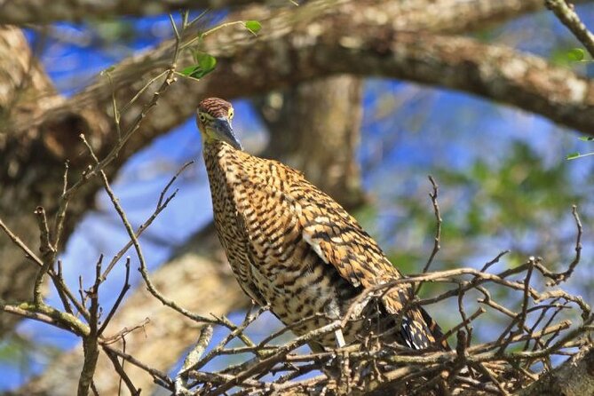 Palo Verde National Park by Costa Rica Xplores - Booking Policies