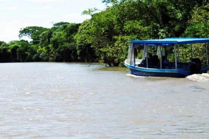 Palo Verde National Park River Jungle Safari - Wildlife Spotting Opportunities