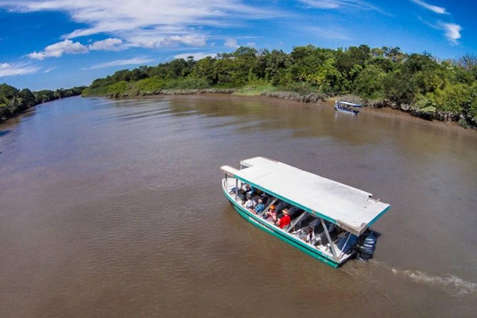 Palo Verde National Park River Safari Boat Tour - The Sum Up