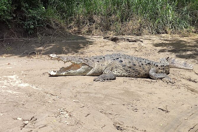 Palo Verde Wetlands Full Experience - Pickup Points and Information