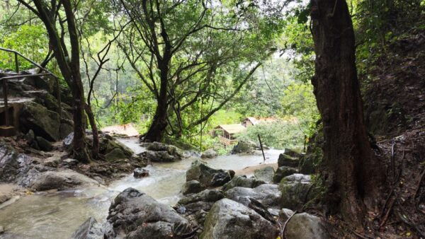 Palomino: Hiking, Tubing, and Indigenous Community Encounter - Frequently Asked Questions