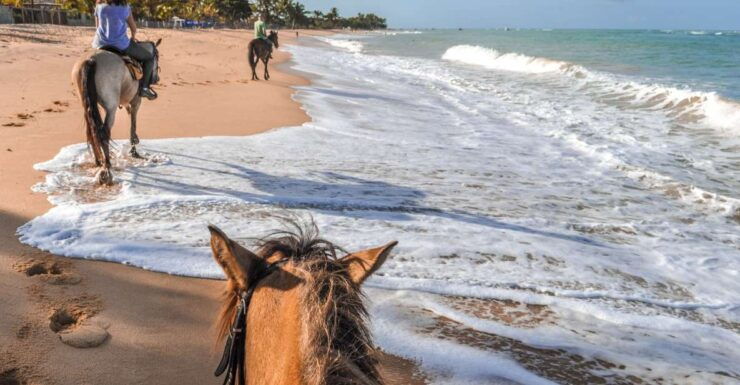 Palomino: Horseback Riding Tour on Palomino Beach - Experience Highlights