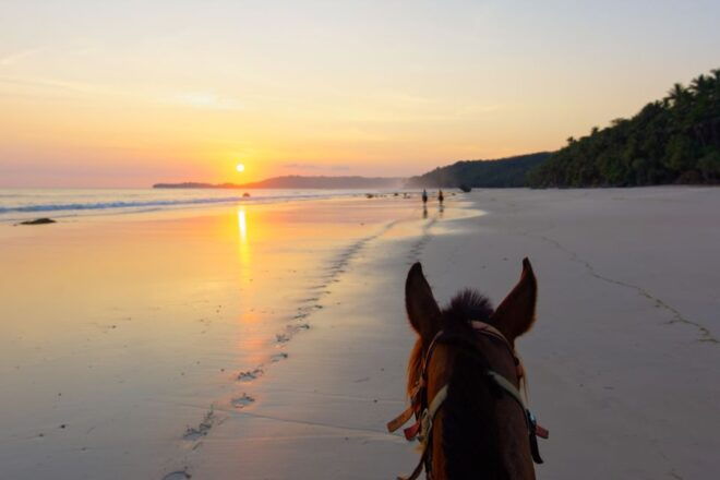 Palomino: Horseback Riding Tour on Palomino Beach - Additional Information