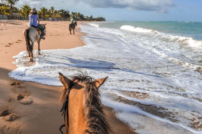 Palomino: Horseback Riding Tour on Palomino Beach - Frequently Asked Questions