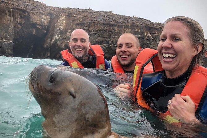 Palomino Islands Sea Lion Swimming Tour From Lima - Tour Highlights