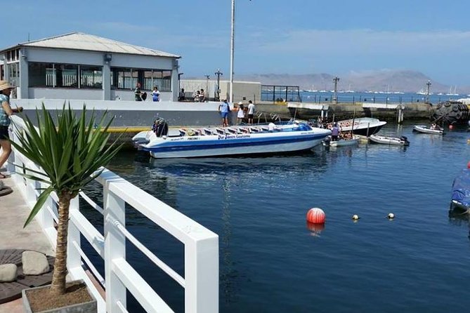 Palomino Islands Sea Lion Swimming Tour From Lima - Important Information