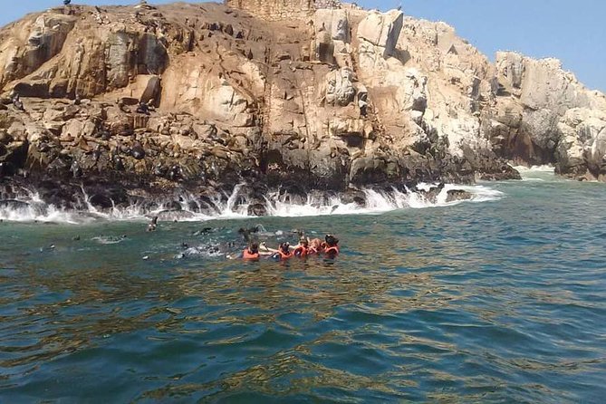 Palomino Islands Sea Lion Swimming Tour From Lima - Common Questions