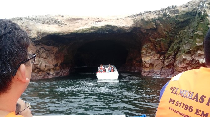Palomino Islands Swimming With Sea Lions From Lima - Dive Into the World of Playful Sea Lions