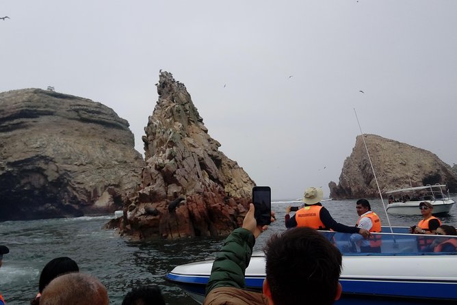 Palomino Islands Swimming With Sea Lions From Lima - Common Questions
