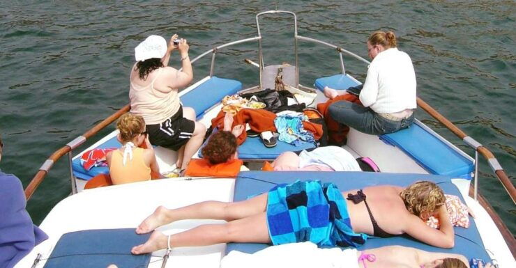 Palomino Islands Yacht Tour and Swim Alongside the Sea Lions - Highlights