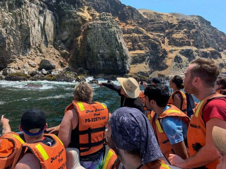 Palomino Islands Yacht Tour and Swim Alongside the Sea Lions - Highlights of the Yacht Tour