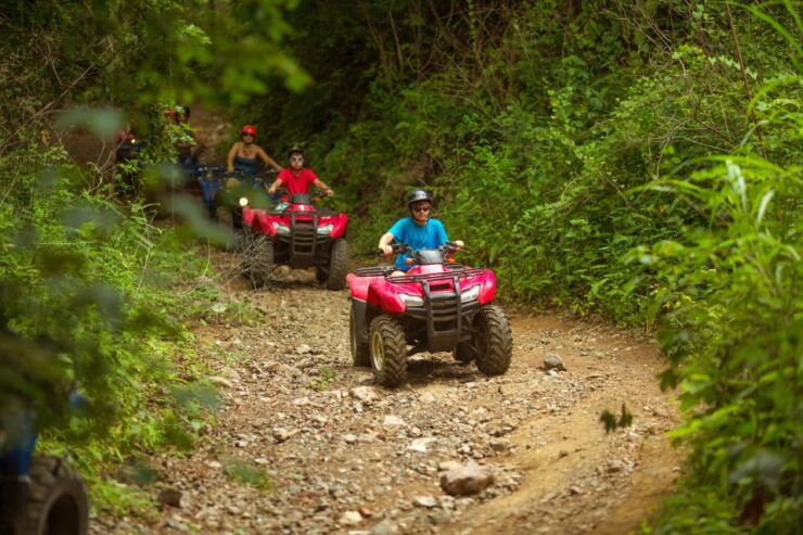 Palomino Quad Bike Tour - Tour Booking Details