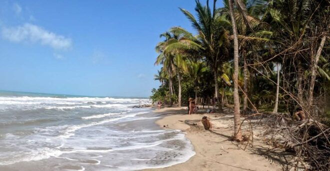 Palomino Quad Bike Tour - Tour The Sum Up