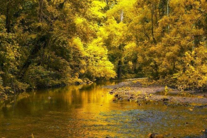 Palomino Quad Bike Tour - Frequently Asked Questions