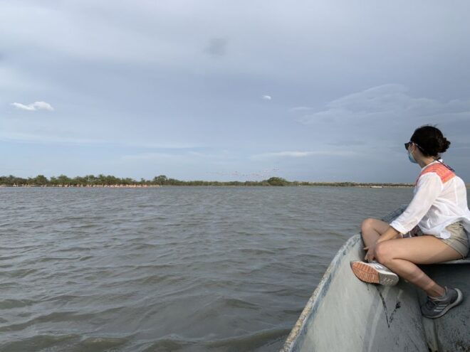 Palomino: Sanctuary of Flamingos Day Tour - Frequently Asked Questions