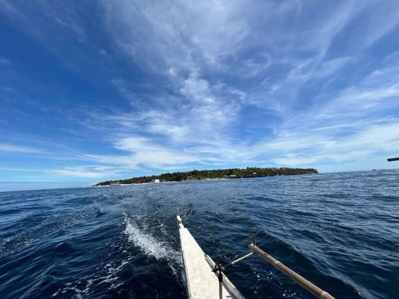 Pamilacan island: Dolphins, snorkel, lunch and walking tour - Good To Know