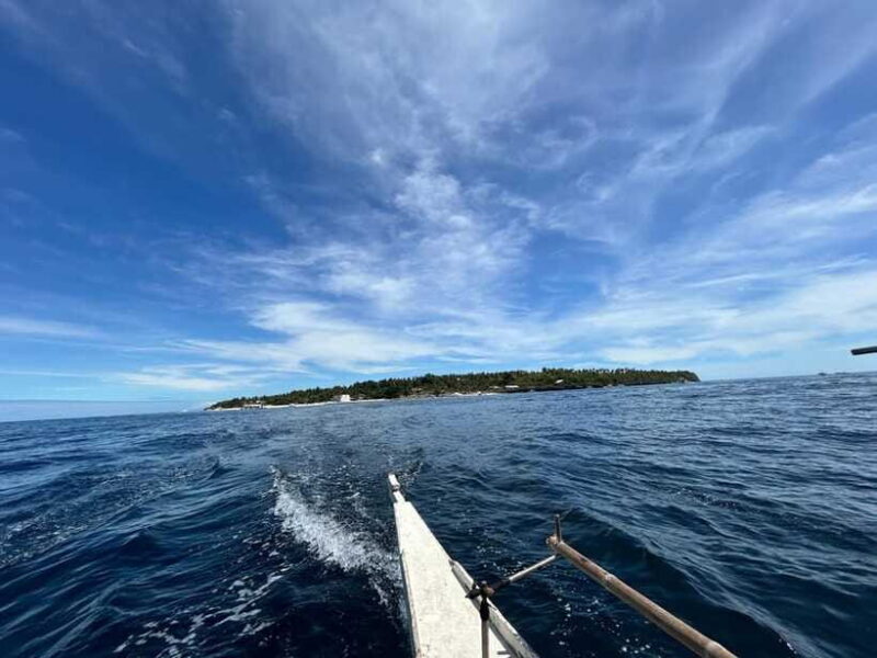 Pamilacan island: Dolphins, snorkel, lunch and walking tour - Return Journey and Final Impressions