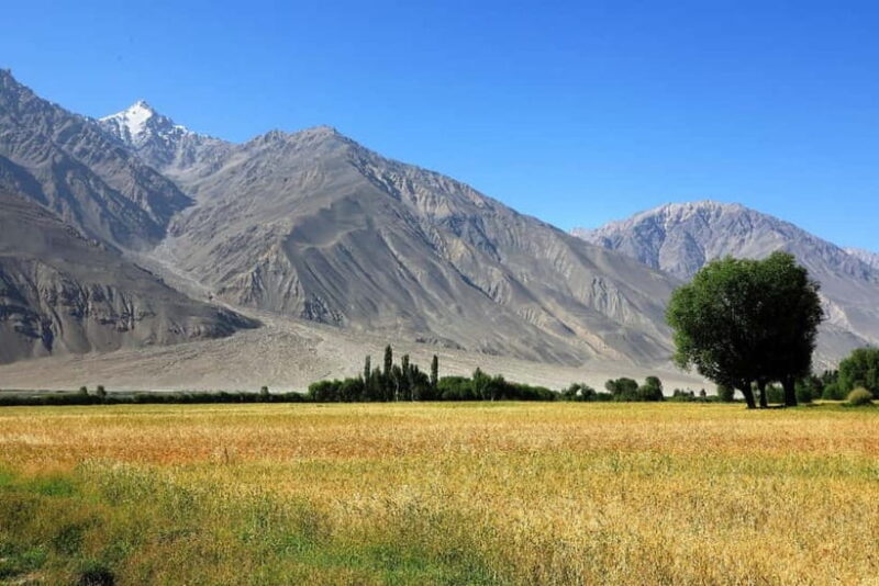 Pamir Highway Adventure from Osh to Dushanbe - Exploring the Pamir Highway Adventure from Osh to Dushanbe