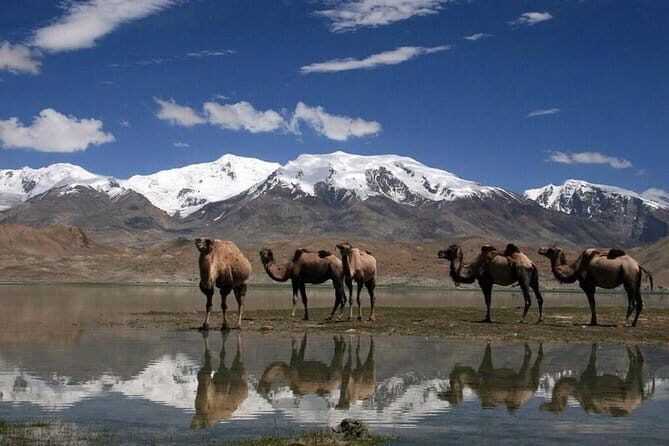 Pamir Highway in 5 days from Dushanbe to Osh - Who This Tour Suits Best
